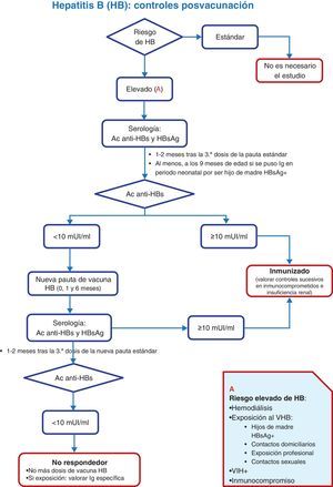 Algoritmo de decisión sobre los controles posvacunación en personas con riesgo elevado de hepatitis B.