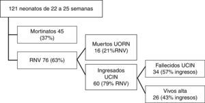 Flujo de pacientes del estudio. RNV: recién nacidos vivos; UCIN: unidad de cuidados intensivos neonatales; UORN: unidad de observación del recién nacido.
