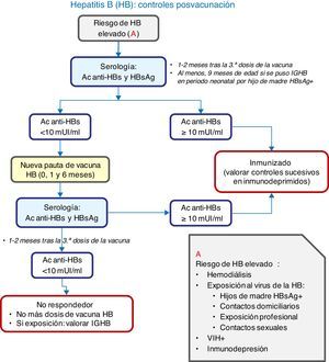Algoritmo de decisión sobre los controles posvacunación en personas con riesgo elevado de hepatitis B.