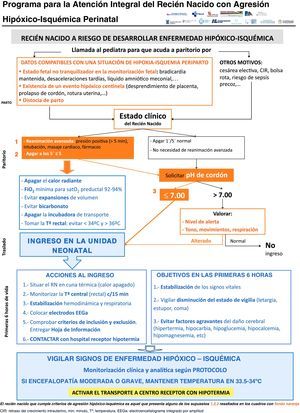 Inclusión en el programa del recién nacido con potencial agresión hipóxico-isquémica perinatal.