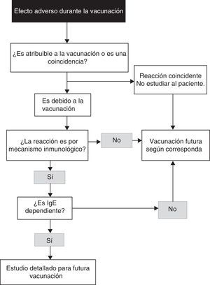 Algoritmo para la identificación de una reacción alérgica a vacunas (modificado de Kelso et al.7).