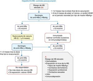 Algoritmo de decisión sobre los controles posvacunación en personas con riesgo elevado de hepatitis B.