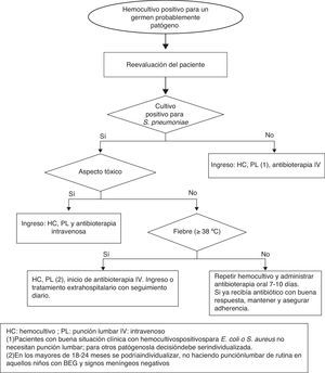 Actitud ante un hemocultivo positivo en el paciente de 3-36 meses de edad con fiebre sin foco.