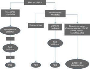 Algoritmo para el diagnóstico de reacciones inmediatas y no inmediatas a betalactámicos. PEC: prueba de exposición controlada. Modificado de Fernández et al.10.