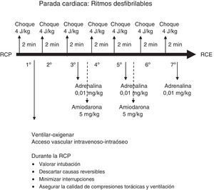 Algoritmo de RCP avanzada, ritmos desfibrilables.