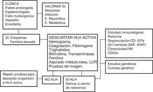 Algoritmo diagnóstico. Esquema adaptado de Cincinnati Children