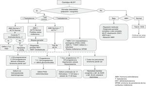 Algoritmo diagnóstico en pacientes con DSD 46,XY. AMH: hormona antimülleriana; DHT: dehidrotestosterona; SPDM: síndrome de persistencia de los conductos müllerianos; T: testosterona. * Si el nivel de testosterona se encuentra elevado, no es preciso realizar el test de β-hCG.