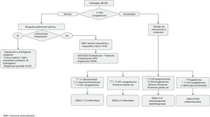 Algoritmo diagnóstico en pacientes con DSD 46,XX. AMH: hormona antimülleriana.