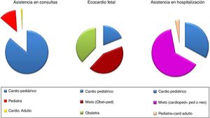 Profesional que asiste a los pacientes en consultas, ecocardiografía fetal y hospitalización, en porcentajes.