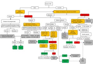 Algoritmo del estudio molecular para la confirmación del diagnóstico de PHP y enfermedades relacionadas. Si el paciente presenta osteodistrofia hereditaria de Albright (OHA), hay que descartar la presencia de alteraciones genéticas en GNAS, incluyendo mutaciones puntuales (secuenciación) y reordenamientos genómicos. Una vez que la variante ha sido identificada, debe confirmarse su patogenicidad de acuerdo con las guías clínicas40 y, cuando sea posible, debe determinarse el origen parental. En ausencia de OHA, el estudio debe comenzar por la búsqueda de alteraciones epigenéticas. En función del patrón de metilación obtenido, se necesitarán estudios posteriores para alcanzar el diagnóstico definitivo: a)si el defecto de la metilación está restringido a GNAS A/B:TSS DMR, deberán buscarse las deleciones de STX16 y, si se encuentran, se confirmará el diagnóstico de PHP1B autosómico dominante (AD-PHP1B); b)si la metilación afecta a los cuatro DMR, debería analizarse la posibilidad de disomía uniparental paterna del cromosoma 20 (patUPD20q); c)si no se encontrara la patUPD20q, deberían estudiarse las deleciones en NESP/AS; d)si no se identifican causas genéticas subyacentes a las alteraciones de la metilación, es probable que el paciente presente la forma esporádica de PHP1B (spor-PHP1B). Una vez descartadas las alteraciones en el locus GNAS como la causa del fenotipo, y en pacientes con OHA, deberían secuenciarse los genes responsables de las enfermedades relacionadas a PHP (es decir, al menos PDE4D y PRKAR1A). Los cuadros en amarillo indican la tecnología; en verde, la confirmación molecular definitiva; en gris se sugieren los pasos de investigación/futuros a realizar. MLID: trastornos causados por alteración de la impronta en múltiples loci (multi-locus imprinting disturbance); NGS: secuenciación masiva (next-generation sequencing); STRs: microsatélites (short tandem repeats); UPD: disomía uniparental; VUS: variante de significado incierto; WES: secuenciación de exoma (whole exome sequencing); WGS: secuenciación de genoma completo (whole genome sequencing).