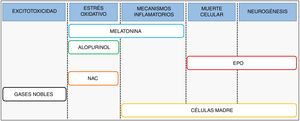 Posibles dianas terapéuticas y principales estrategias neuroprotectoras bajo ensayo frente a la EHI neonatal. EPO: eritropoyetina; NAC: N-acetilcisteína.