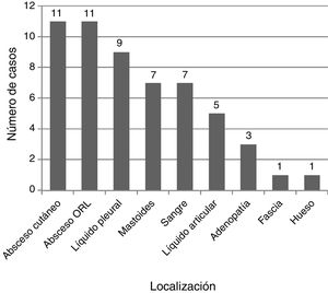 Localizaciones anatómicas de los diferentes aislamientos microbiológicos (n=55).