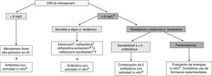Tratamiento de las infecciones por bacilos gramnegativos resistentes a carbapenems en niños. Fuente: Adaptado de Hsu y Tamma.40. a Posibles antibióticos: aminoglucósido, colistina, fosfomicina, fluoroquinolona o tigeciclina. Considerar el foco de la infección y la sensibilidad del aislamiento en la elección (tabla 7). b Considerar si CMI de meropenem >4mg/L, especialmente en infecciones graves. c Aztreonam puede utilizarse en infecciones por BGN productores de MBL (VIM, NDM o IMP) u OXA-48, si no se detecta coproducción de BLEE o AmpC; en el caso de detectarse, considerar su utilización en combinación con ceftazidima-avibactam si se demuestra sinergia in vitro. d Ceftazidima puede utilizarse en infecciones por BGN productores de OXA-48 si no se detecta coproducción de BLEE o AmpC. e Ceftazidima-avibactam puede utilizarse en infecciones por BGN RC no mediadas por MBL. f Actualmente, ceftazidima-avibactam o ceftolozano-tazobactam, debido a su uso off-label en niños, debería ser limitado a infecciones graves en las que el microorganismo aislado no presente sensibilidad in vitro a otros β-lactámicos, o a infecciones por microorganismos panresistentes. Datos procedentes de adultos sugieren que el tratamiento combinado no es necesario cuando se usan los nuevos β-lactámicos-inhibidores de las β-lactamasas. g Ceftolozano-tazobactam puede utilizarse en infecciones por P. aeruginosa RC no mediada por carbapenemasas. h Posibles sinergias in vitro documentadas, pero con poca experiencia clínica: ceftazidima-avibactam+aztreonam, meropenem+ertapenem, meropenem+fosfomicina, ceftazidima-avibactam+fosfomicina.