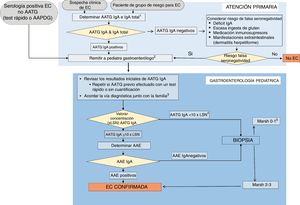 Algoritmo diagnóstico. AAE: anticuerpos antiendomisio; AAPDG: anticuerpos antipéptidos desamidados de gliadina; AATG: anticuerpos antitransglutaminasa; EC: enfermedad celíaca; LSN: límite superior de la normalidad. 1Déficit de IgA: valores por debajo de los que el laboratorio determine para la edad o <0,2g/l en mayores de 3 años. 2Evitar que la familia inicie una dieta baja o sin gluten antes de ser valorado en una Unidad de Gastroenterología Pediátrica. 3Confirmar el mensaje de que, independientemente de cómo se haga el diagnóstico, el tratamiento con dieta sin gluten es de por vida. 4Si AATG IgA positivos pero con valores bajos, confirmar ingesta suficiente de gluten. Valorar repetirlos añadiendo los AAE. 5Considerar: a) revisión de la biopsia; b) resultado AATG falso positivo y determinar AAE (si positivo=EC potencial); c) estudios adicionales (HLA, depósitos de transglutaminasa, citometría, etc.); d) plantear seguimiento y repetir estudios asegurando ingesta normal de gluten; e) valorar la importancia de los síntomas. Fuente: Adaptado de ESPGHAN 202013.