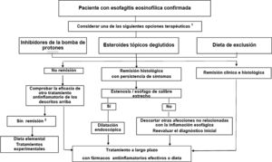 Algoritmo terapéutico propuesto para la esofagitis eosinofílica. Fuente: Tomado de Lucendo et al.5. 1 En pacientes con síntomas persistentes a pesar del tratamiento antinflamatorio la dilatación endoscópica debe ser considerada. 2 Remitir al paciente a un centro especializado en EoE.