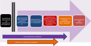 Fases del proceso de donación en asistolia controlada pediátrica (modificada de Thuong et al.8).