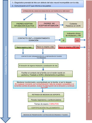 Proceso de donación de órganos y tejidos en neonatos con anencefalia4.