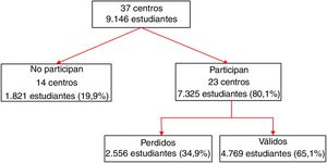 Diagrama del flujo de participación de los jóvenes.