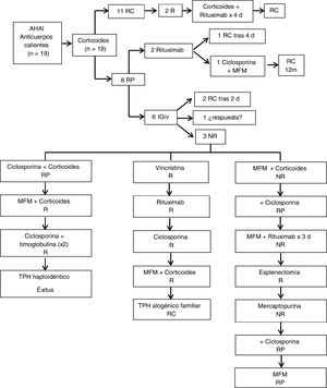 Tratamiento y respuesta en pacientes con anemia hemolítica autoinmune por anticuerpos calientes. RC: remisión completa, RP: respuesta parcial, NR: no respuesta, R: recaída, d: dosis, m: meses, IGiv: inmunoglobulina intravenosa, MFM: micofenolato de mofetilo, TPH: trasplante de progenitores hematopoyéticos.