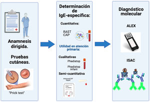 Avances relevantes en el abordaje diagnóstico de la alergia. La anamnesis y las pruebas cutáneas han sido las herramientas fundamentales para el diagnóstico de alergia, desde un inicio. En los últimos años, se han desarrollado nuevas metodologías diagnósticas; en la figura se muestran ejemplos de pruebas comerciales que permiten la detección cualitativa y cuantitativa de la IgE específica, así como también herramientas más recientes de diagnóstico molecular (ALEX, ISAC) para explorar un gran número de componentes alergénicos.