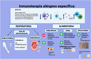Inmunoterapia alérgeno específica. En la figura se enumeran los principales efectos clínicos e inmunológicos de la inmunoterapia alérgeno específica. Se muestran también las diversas vías de administración para el tratamiento con inmunoterapia específica tanto de la alergia respiratoria como de la alimentaria.