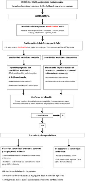 Algoritmo de manejo de la infección por H.pylori. IBP: inhibidor de la bomba de protones. 1 Amoxicilina a dosis elevadas: 75mg/kg/día, dosis máxima de 3g al día. 2 En mayores de 8años puede sustituirse la amoxicilina por tetraciclina.
