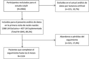 Diagrama de flujo de participantes en el estudio. LM: lactancia materna.