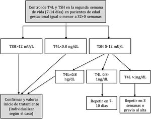 Protocolo de control de la función tiroidea en los prematuros con edad gestacional igual o menor de 32 semanas en nuestro centro.