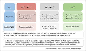 Proceso de toma de decisiones multidisciplinar, compartido con la familia en pacientes en el límite de la viabilidad (EG: edad gestacional en semanas posmestruales).