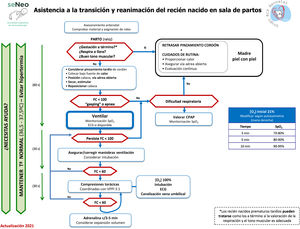 Algoritmo genérico de reanimación neonatal, GRN-SENeo.