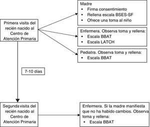 Esquema del estudio.