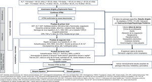 Algoritmo diagnóstico. Ac. Anti-VHC: anticuerpos antivirus de hepatitis C; ALT: alanina aminotransferasa; AMA: anticuerpos antimitocondriales; ANA: anticuerpos antinucleares; Anti-LC-1: anticuerpos anti citosol hepático tipo 1; Anti-LKM-1: anticuerpos microsomales de hígado y riñon tipo 1; Anti-SLA: anticuerpos contra los antígenos hepáticos solubles; AST: aspartato aminotransferasa; ATGt: anticuerpos antitransglutaminasa; CMV: citomegalovirus; CPK: creatina fosfoquinasa; GGT: gammaglutamil transpeptidasa; HBsAg: antígeno de superficie del virus de hepatitis B; Ig: inmunoglobulinas; LAL: lipasa ácida lisosomal; p-ANCA: anticuerpos anticitoplasma de neutrófilos de patrón perinuclear; VEB: virus de Epstein-Barr; TORCH: toxoplasma, rubeola, CMV, herpes simple y VIH; SMA: anticuerpos antimúsculo liso; Test de CDT: test de transferrina deficiente en carbohidrato; TSH: hormona estimulante de la tiroides; T4 libre: tiroxina libre; VIH: virus de inmunodeficiencia humana. aCorrelacionar con valores normales según edad. bValorar hacer en el segundo nivel en el lactante.