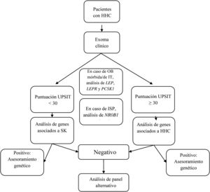 Diagrama de flujo del análisis genético guiado por la presencia o ausencia de anosmia/hiposmia. HHC: hipogonadismo hipogonadotropo congénito; ISP: insuficiencia suprarrenal primaria; IT: inicio temprano; OB: obesidad; SK: síndrome de Kallmann; UPSIT: University of Pennsylvania Smell Identification Test.