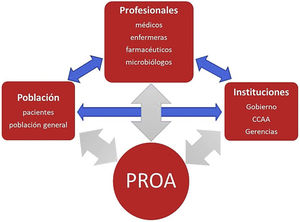 Relación e interacción entre los PROA y los niveles implicados.