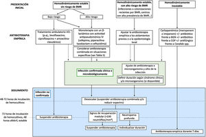 Algoritmo terapéutico de los episodios de neutropenia febril en pacientes oncológicos pediátricos. BGN: bacilos gramnegativos; BMR: bacterias multirresistentes; CGP: cocos grampositivos; VO: vía oral. Fuente: adaptado de Lehrnbecher T et al., 20144.