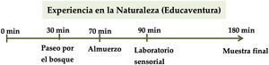 Organigrama de la experiencia en la naturaleza Educaventura en el Bosque.
