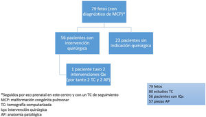 Diagrama de flujo de los pacientes con MCP.