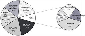 Distribución de los diagnósticos según el estudio AP.