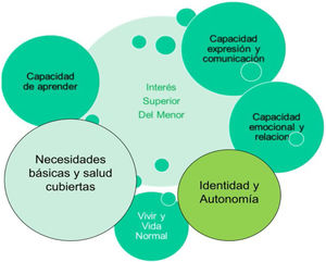 Interés superior del menor.