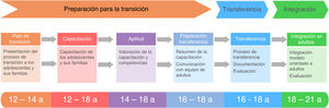 Esquema del modelo de transición utilizado en el Hospital Vall d’Hebron de Barcelona. Basado en el modelo de seis elementos centrales para la transición de Got Transition15.