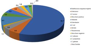 Etiología de 7.036 episodios de sepsis nosocomial en RNMBP registrados en la red neonatal Grupo Castrillo (2006-2018) representada en porcentajes. RNMBP: recién nacidos de muy bajo peso.