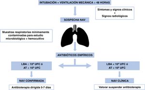 Algoritmo de manejo de la neumonía asociada a la ventilación mecánica (NAV). AT: aspirado traqueal; LBA: lavado broncoalveolar; UFC: unidades formadoras de colonias.