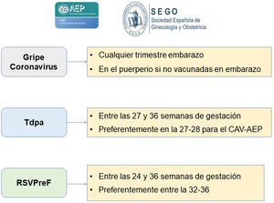 Vacunación en el embarazo. Documento de consenso del CAV-AEP y la SEGO. Resumen.