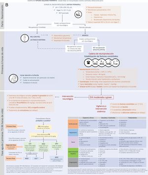 Código encefalopatía hipóxico-isquémica (A) y algoritmo de aplicación (B) en entornos con recursos limitados.