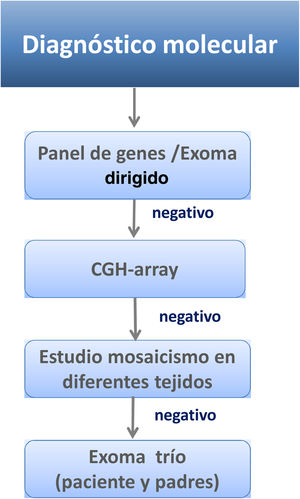 Diagrama de toma de decisiones para el diagnóstico molecular del SCdL.