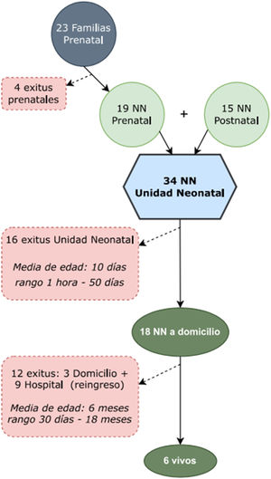 Evolución de los casos atendidos por el servicio de CP pediátricos dentro del programa de CP perinatales. NN=neonatos.