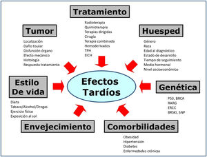 Factores que influyen en el desarrollo de efectos tardíos en SCI. Tratamiento.Cirugía: incluye amputaciones y procedimientos de salvamento de extremidades; cistectomía; ooforectomía u orquiectomía; resección pulmonar; procedimientos neuroquirúrgicos, etc. Cicatrices y deformidades. Radioterapia: el daño depende de dosis total, dosis fracción, volumen de órgano o tejido irradiado, tipo de técnica de radioterapia (la RT de intensidad modulada y protonterapia reducen los efectos adversos). A menor edad, más daño3. Quimioterapia: depende del agente, intensidad de dosis, dosis acumulativa, esquema. Tratamiento multimodal: más riesgo. TPH: trasplante de progenitores hematopoyéticos y enfermedad de injerto contra huésped (EICH). Ambas presentan múltiples eventos adversos. Huésped. Edad: <1 año y >10 años, peor pronóstico, excepto en neuroblastomas10 (mejor pronóstico en <1 año). Género, raza y etnia: modifican el riesgo en determinados tumores3. Tiempo de seguimiento: a mayor seguimiento, mayor riesgo. Un año adicional supone un riesgo adicional de desarrollar eventos adversos31. Medio hormonal y estado puberal: influyen en la susceptibilidad a quimioterapia y radioterapia. NSE bajo se asocia con peor superviviencia3. Tumor. Todos los factores descritos impactan en el riesgo de presentar efectos adversos. Genética. Segundos tumores: mutaciones relacionadas14,26-27: BRCA (mama), P53 (Li Fraumeni). Miocardiopatía: mutaciones en RARG, genes transportadores de drogas y enzimas responsables de metabolitos cardiotóxicos21. Ototoxicidad: mutaciones en genes que intervienen en la farmacocinética de cisplatino (ERCC)35. Salud reproductiva: variantes del gen BRSKI relacionado con menopausia prematura. Polimorfismos de un solo nucleótido (SNP) del receptor de andrógenos en testículos se asocian a oligospermia y azoospermia14. Envejecimiento acelerado. Los SCI presentan un envejecimiento acelerado que por sí mismo condiciona la aparición de problemas de salud. Se ha descrito que los SCI a una edad media de 33 años tenían tasas de fragilidad más altas que las observadas en la población general a los 70años16. Comorbilidades. Obesidad, hipertensión, síndrome metabólico, diabetes, enfermedades crónicas, aumentan el riesgo de efectos tardíos. Estilo de vida. Estudios de intervención han mostrado que el ejercicio físico se asocia a menor morbilidad en SCI31. El consumo de tóxicos (alcohol, tabaco, drogas ilícitas) se asocia a mayor morbilidad44.