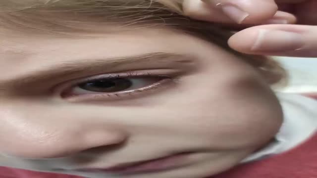 https://ars.els-cdn.com/content/image/1-s2.0-S1695403324001036-mmc1.mp4