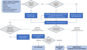 Diagnóstico de confirmación de la infección del tracto urinario. CV: cateterismo vesical; ITU: infección del tracto urinario; LE: esterasa leucocitaria. PSP: punción suprapúbica; TRO: tira reactiva de orina.