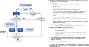 Diagnóstico por imagen de las anomalías del tracto urinario y seguimiento. DMSA: gammagrafía renal con ácido dimercaptosuccínico; E. coli: Escherichia coli; HTA: hipertensión arterial; ITU: infección del tracto urinario; NAG: N-acetilglucosaminidasa; RVU: reflujo vesicoureteral.